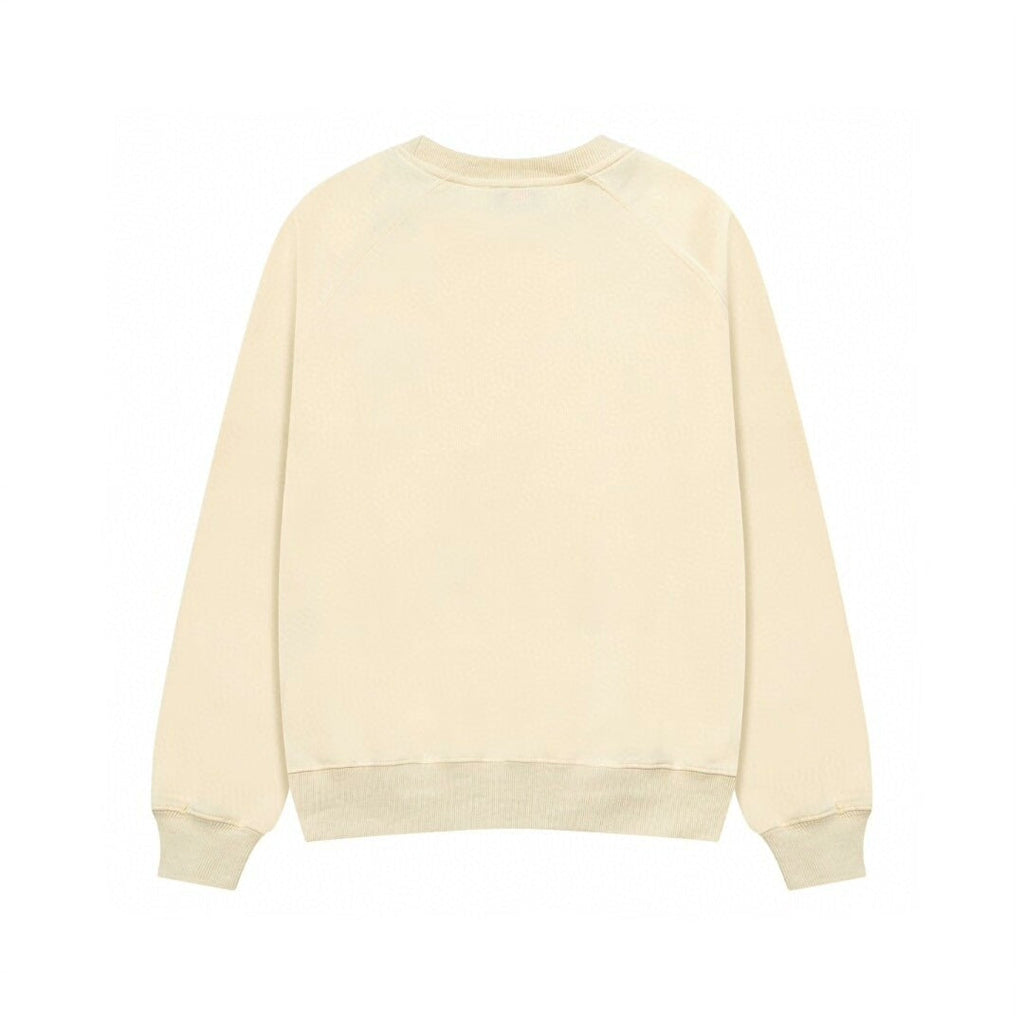 2026 AMI PARIS  Letter hoodie